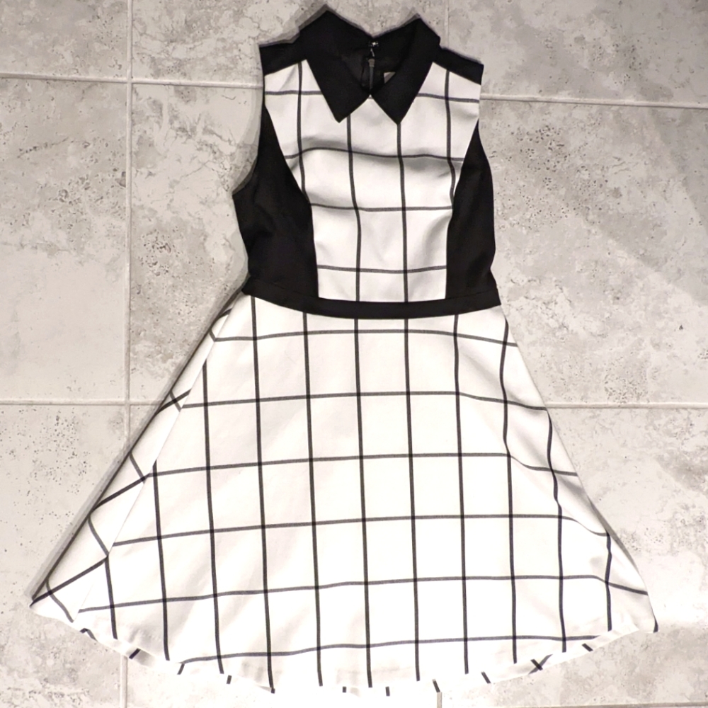 Ann Taylor Loft White and Black A-Line Dress with Peter Pan Collar